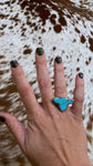 Turquoise Cow Ring